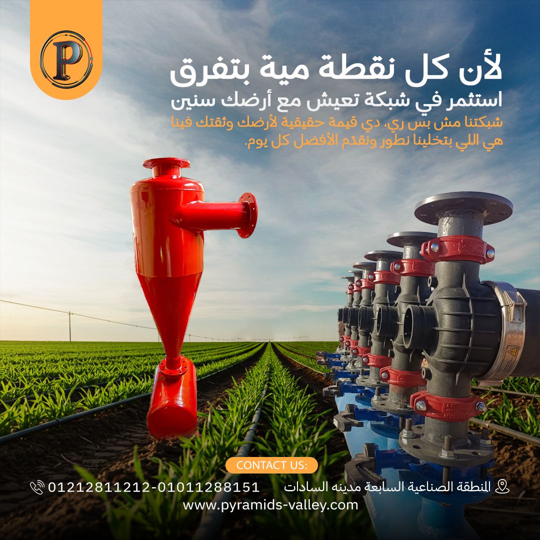 542751600_1282140753924223_8724523698884742290_n