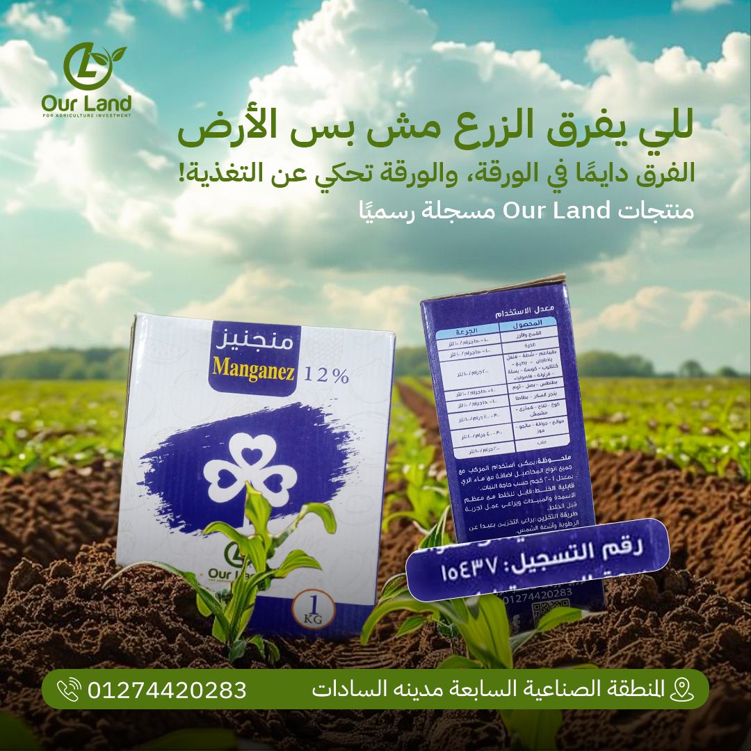 542756093_122137776170839949_3468392861672306565_n