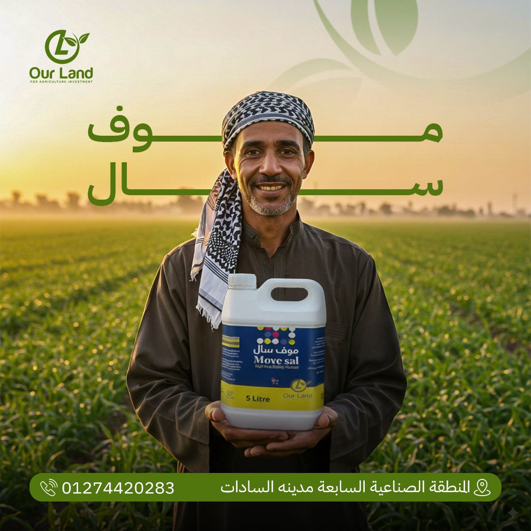 542756375_122137276598839949_3923790031940624718_n