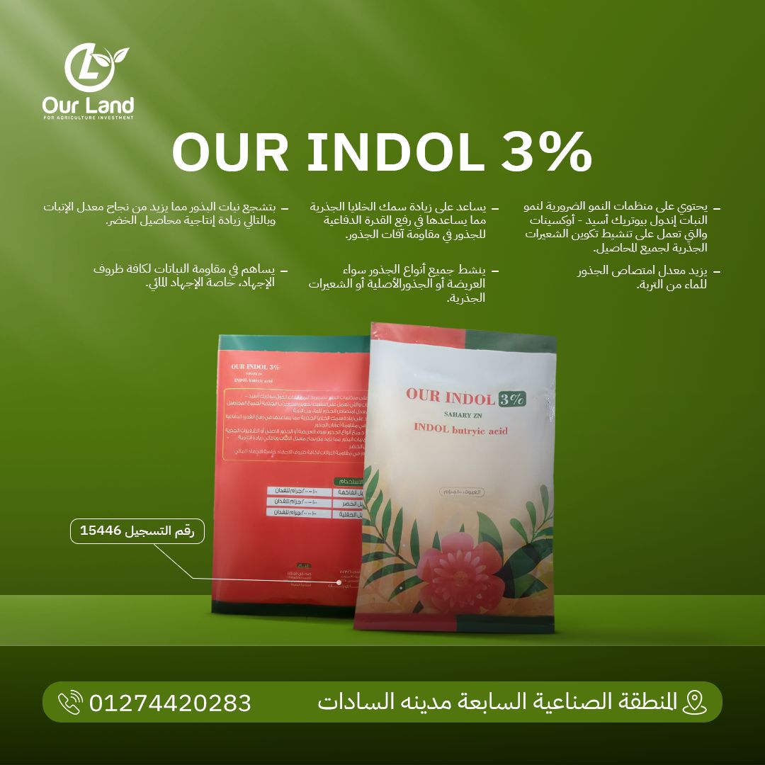 544846472_122138507300839949_2674807203291818611_n